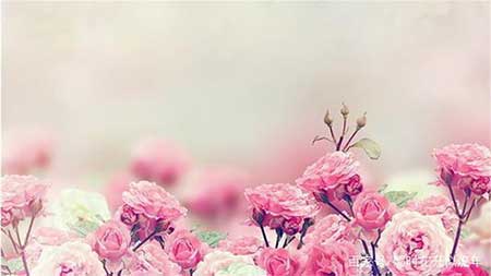 三生有幸遇见你下一句