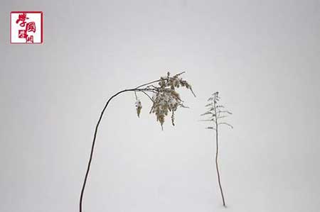 一时强弱在于力下一句