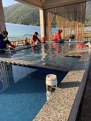 风水轮流转下一句