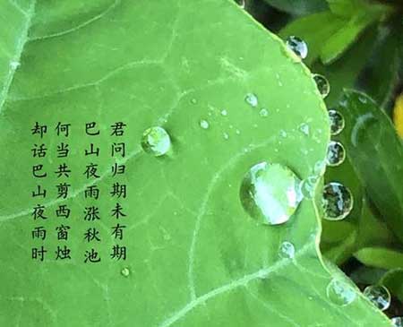 君问归期未有期的下一句是什么