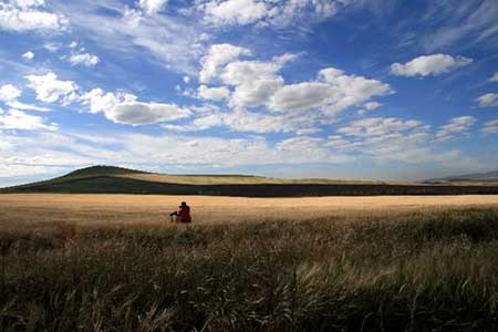 天涯何处无芳草下一句