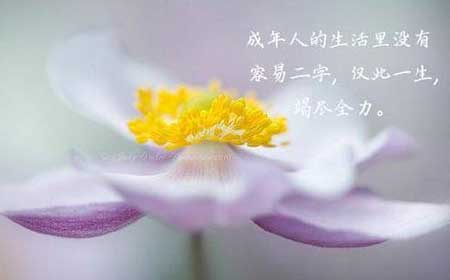 有理不在声高下一句是什么