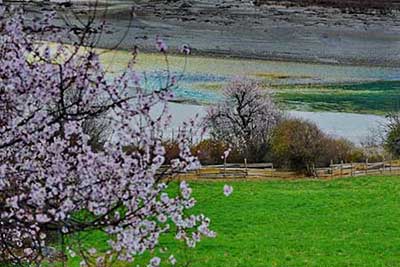 梦里花落知多少下一句