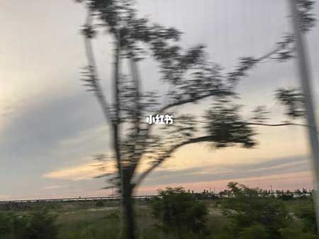 树欲静而风不止下一句