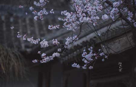 小楼一夜听春雨下一句