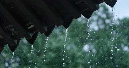 黄梅时节家家雨下一句