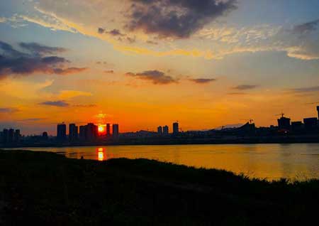 夕阳无限好下一句幽默