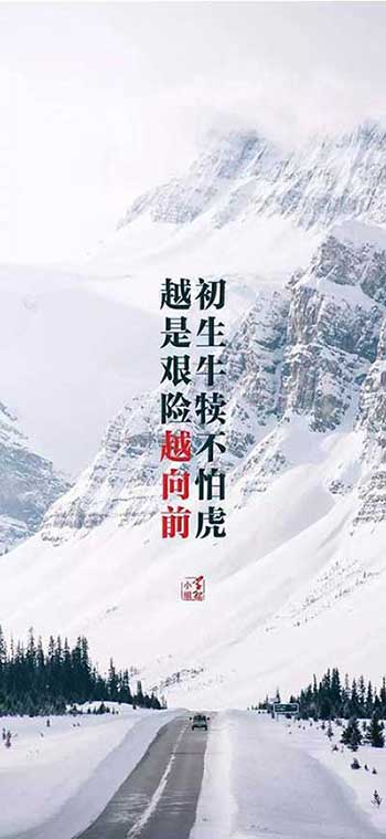 初生牛犊不怕虎下一句