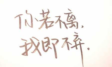 你若不离我便不弃下一句